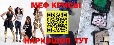 индика Гатчина