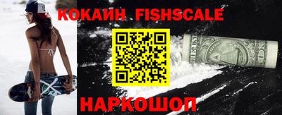индика Гатчина