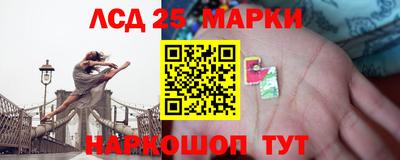 индика Гатчина