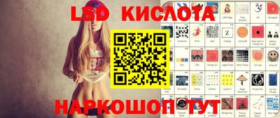 индика Гатчина