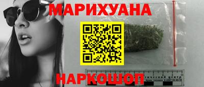 индика Гатчина