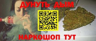 индика Гатчина