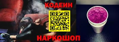 индика Гатчина