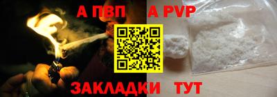 индика Гатчина